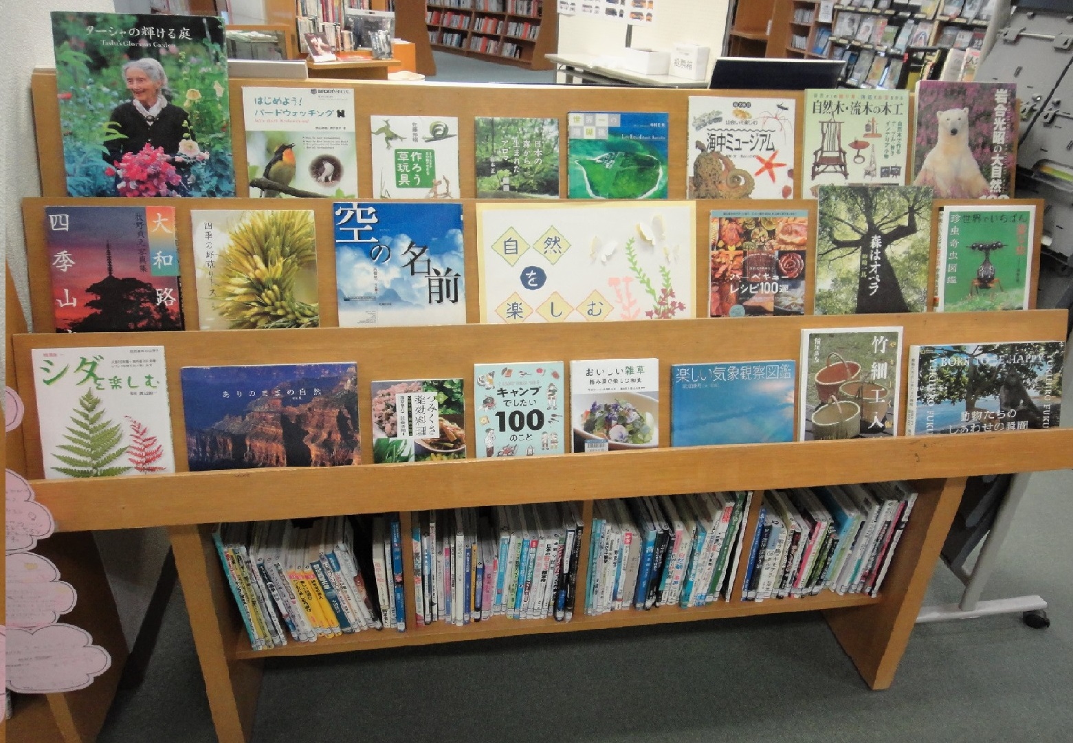 テーマ展示