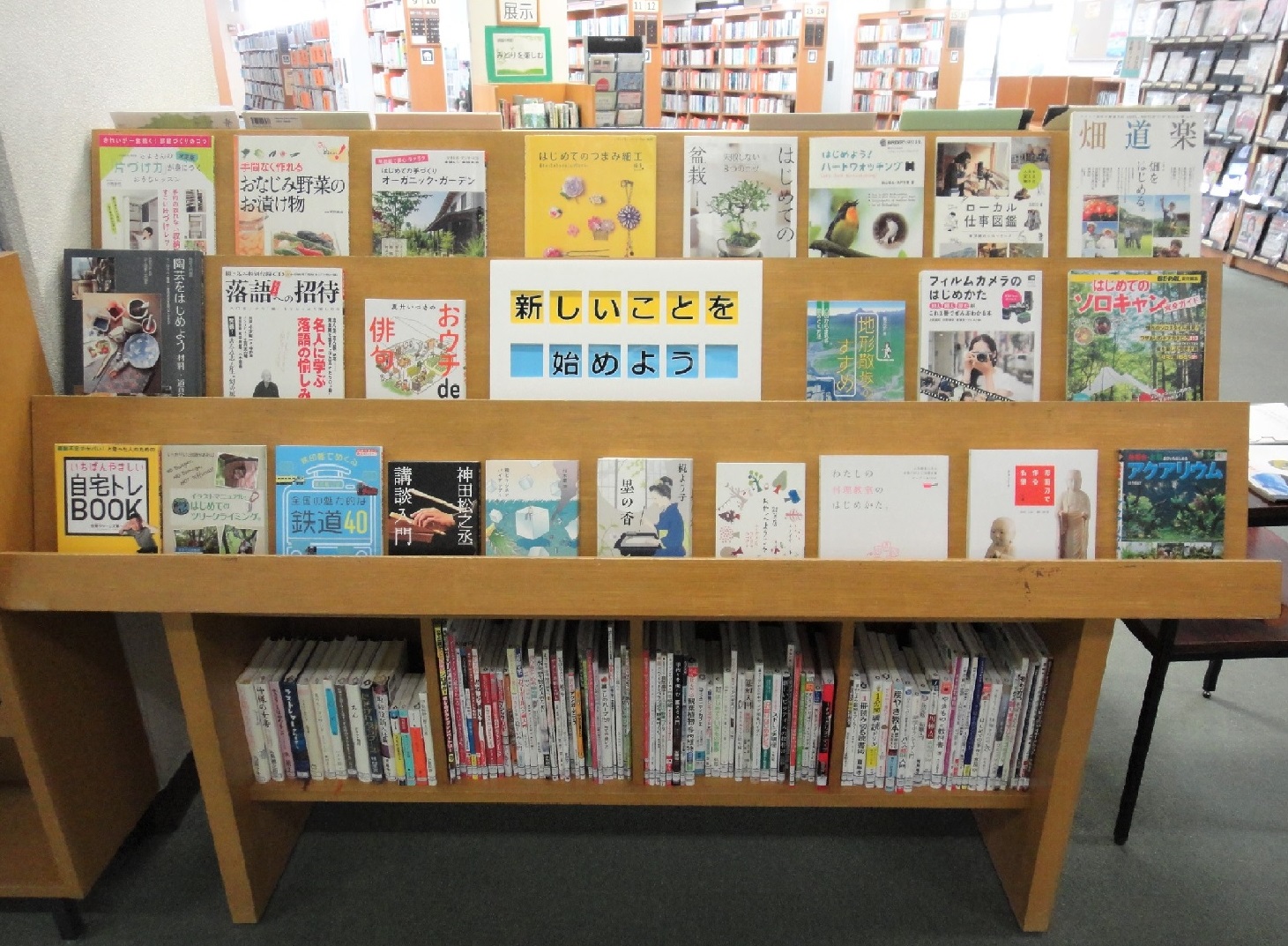 テーマ展示