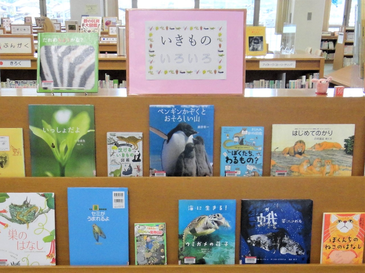 テーマ展示