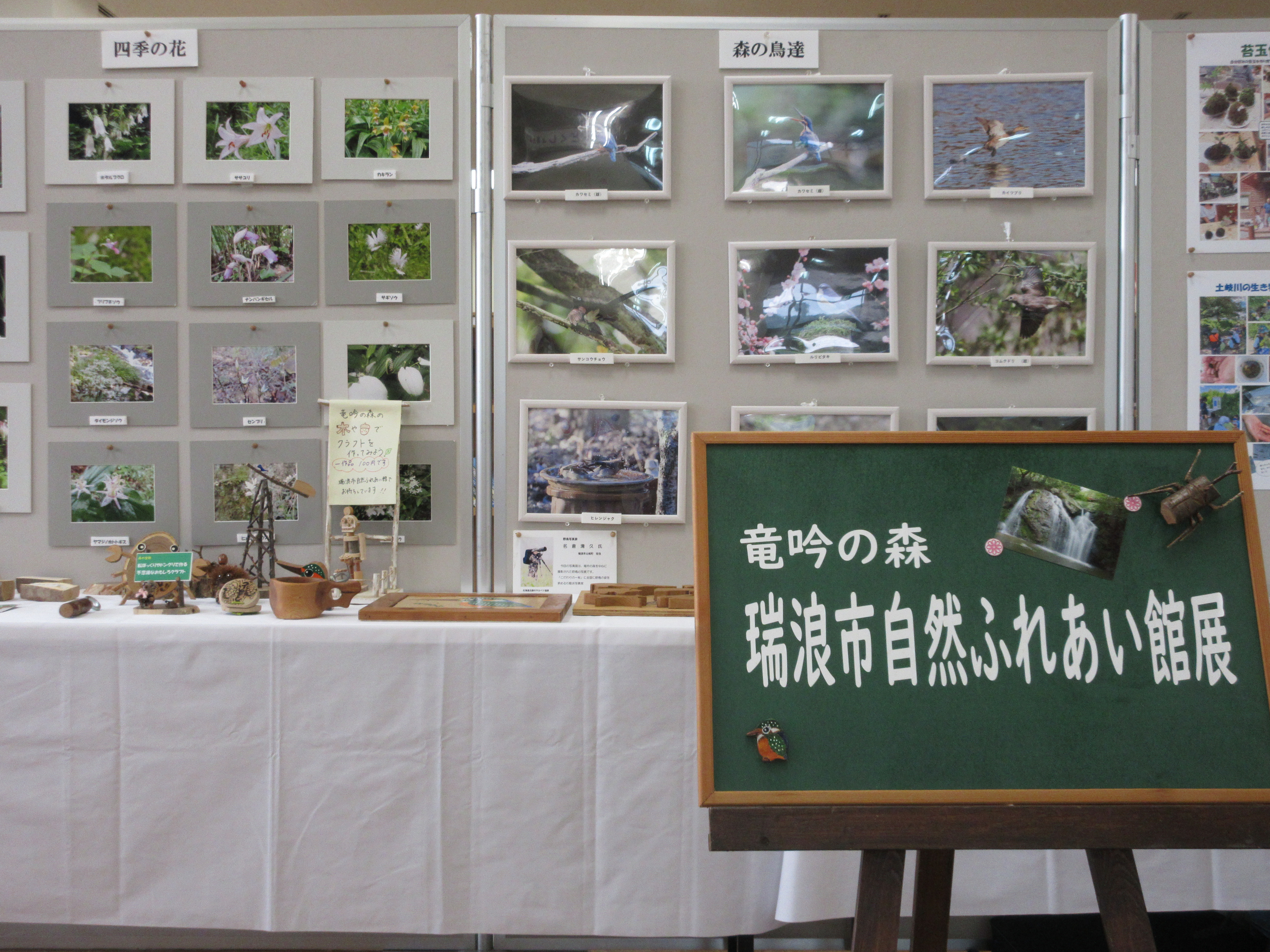 自然ふれあい館の写真画像