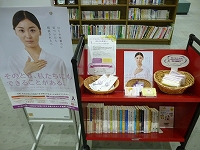 DV防止展示風景